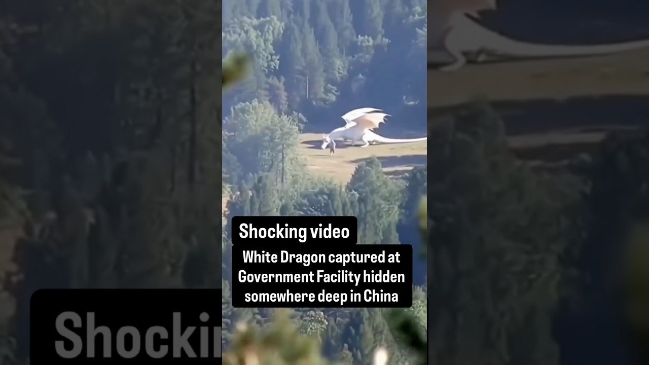 Белый Дракон пойман на правительственном объекте в Китае?