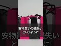 貧乏な人ほど買ってしまう、買うとお金が減るものTOP5