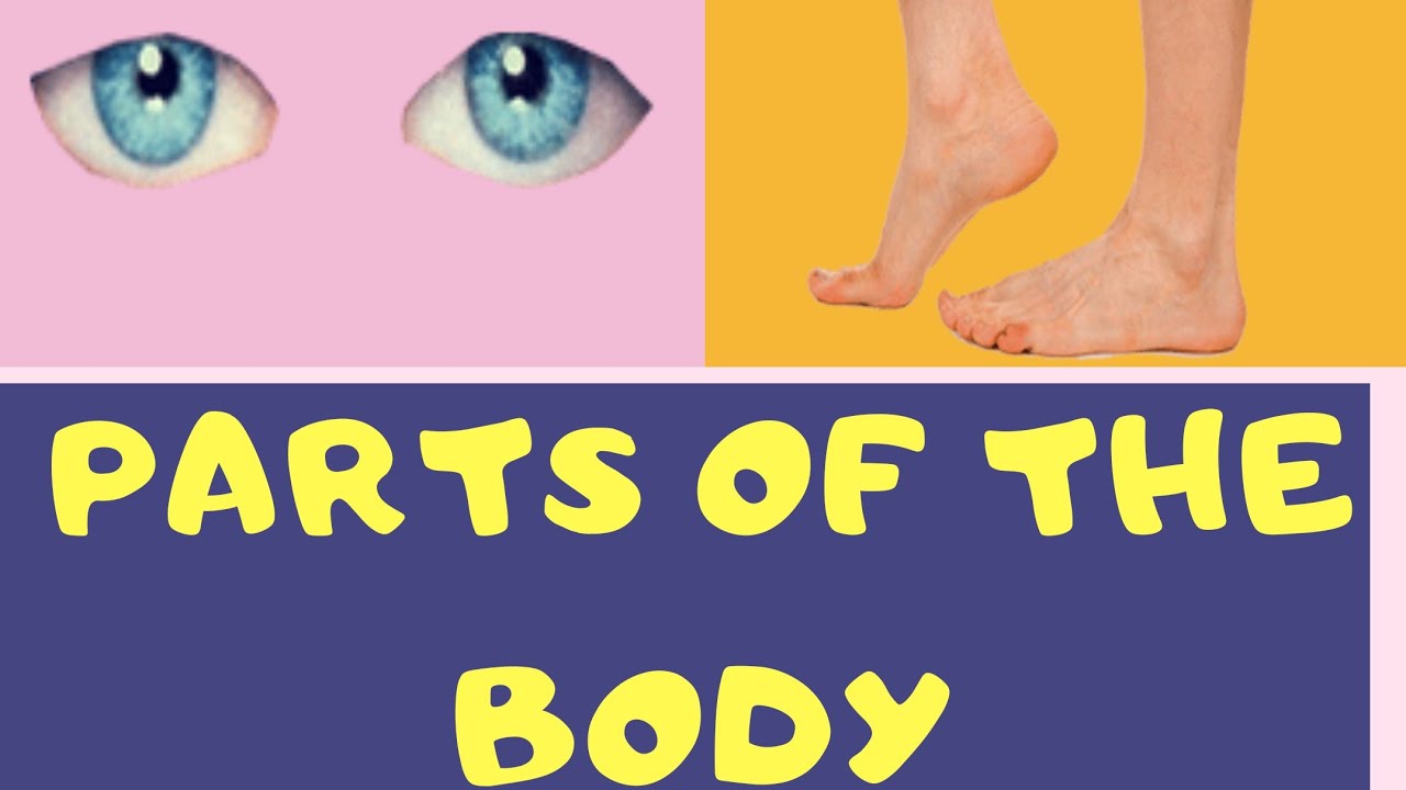 Parts of the body - YouTube