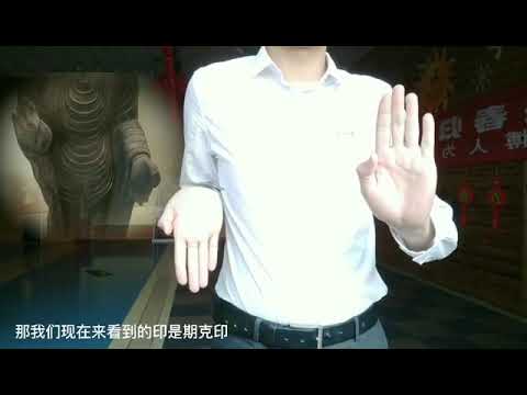 Buddhist mudra explanation| 藏传佛教手印解释