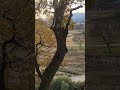 Autumn #gyeongjutravel
