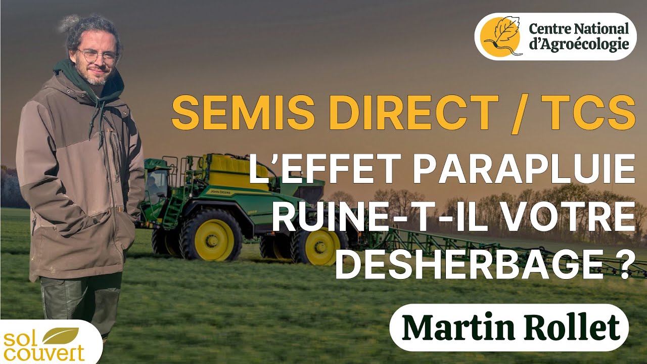 SEMIS DIRECT / TCS et herbicides : les erreurs à ne pas faire pour gérer les ray-grass !