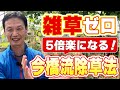 【自然栽培300】地下茎克服！雑草対策！