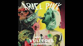 Ariel Pink - Vultures (Live 2024) Colorado Springs, CO 3.6.24 Full Show [AUDIO]