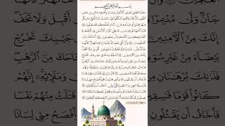 Musa Quran Zikrullah #quran #madina #allah #muhammad #musaquranzikrullah #madinah