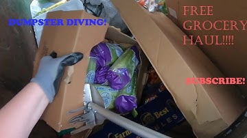 Dumpster Diving at Aldi For Free Food! Grocery Haul!