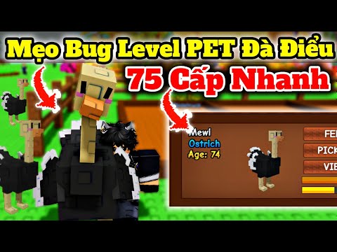 Mẹo Bug Level