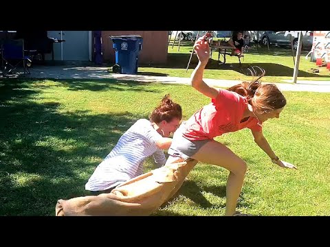 Funniest Spring Wipeouts || Hilarious Fails Under the Sun! ??