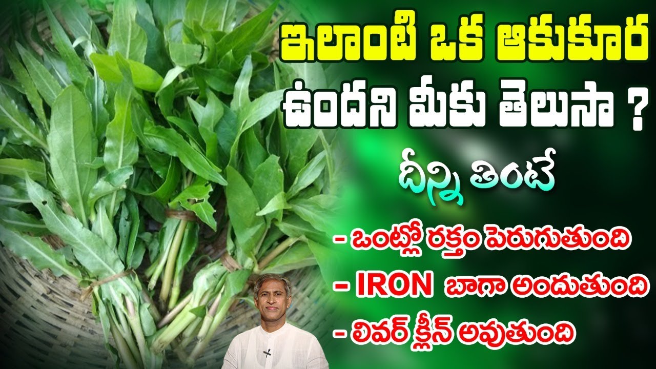 iron-rich-leaf-increases-hemoglobin-bone-marrow-anemia-kulekara