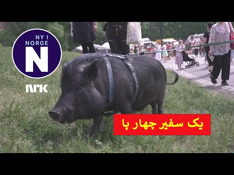    جشنواره گیاهخواری در اسلو