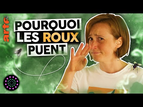 Vidéo: Quel Est Le Caractère Des Roux