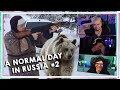 DER IST GANZ ANDERS DRAUF! A Normal Day In Russia #2 [React]