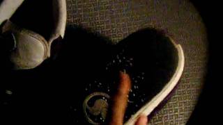 my dvs shoes