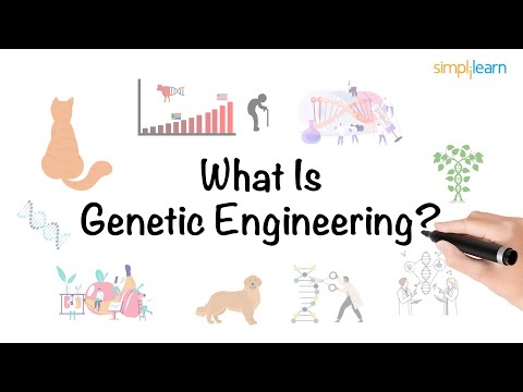 Video: Ce tehnologie este folosită pentru inginerie genetică?