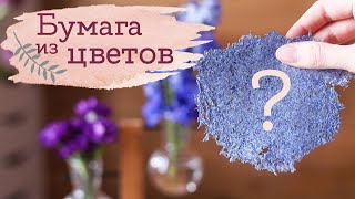 Пробую сделать БУМАГУ ИЗ ЦВЕТОВ | Masherisha