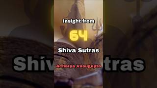 Shiva Sutras- Insight 64