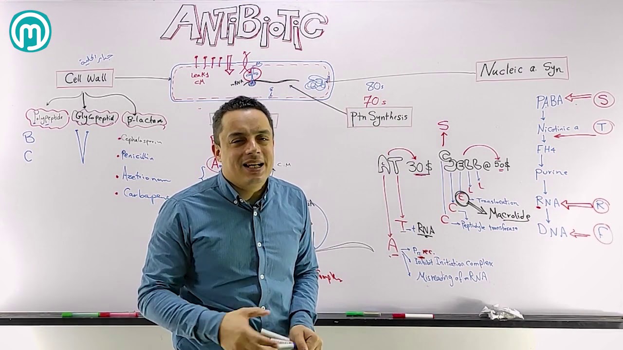 Antibiotic Part2 Revision