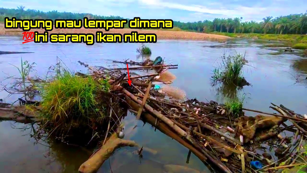 JIWA MANCING MICROFISHING KU MERONTA MELIHAT SPOT TUMPUKAN KAYU INI!! Mancing Microfishing