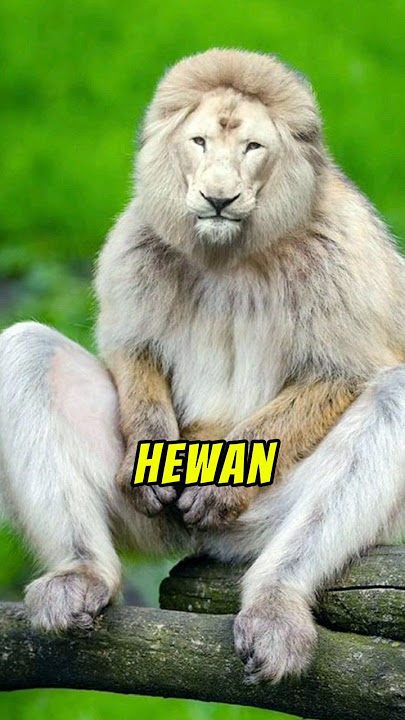 Hewan Punah yang Akan Di Hidupkan Kembali #dailyfacts #faktaunik #shorts