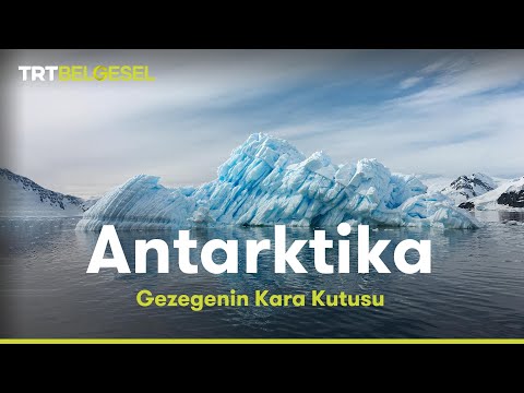 Gezegenin Kara Kutusu: Antarktika | TRT Belgesel