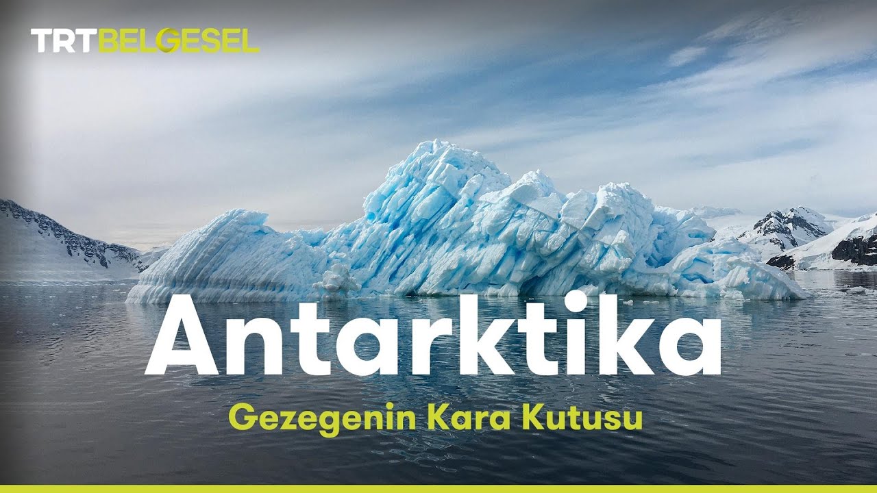 ⁣Gezegenin Kara Kutusu: Antarktika | TRT Belgesel
