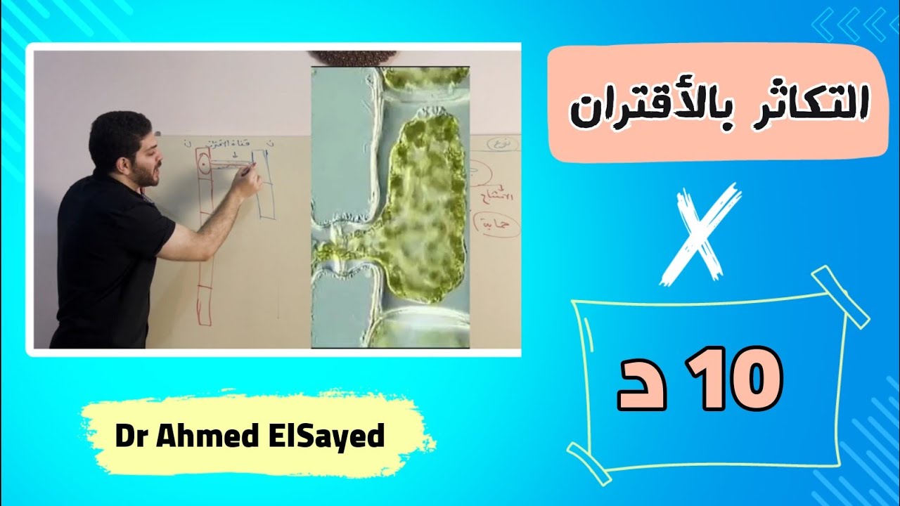 التكاثر بالاقتران في ١٠ دقايق فقط _ د أحمد السيد