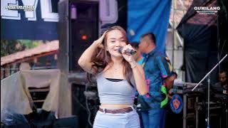 PAEYLAND MUSIC - DON'T FIGHT ANYMORE, FEBY PESEK - WEDDING FAHMI & SILVA - SINGOROJO MAYONG JEPARA