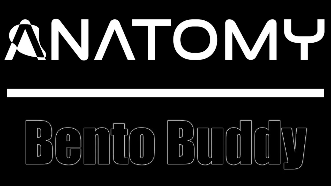 ANATOMY rigging - Bento Buddy for easy quick rigging - YouTube