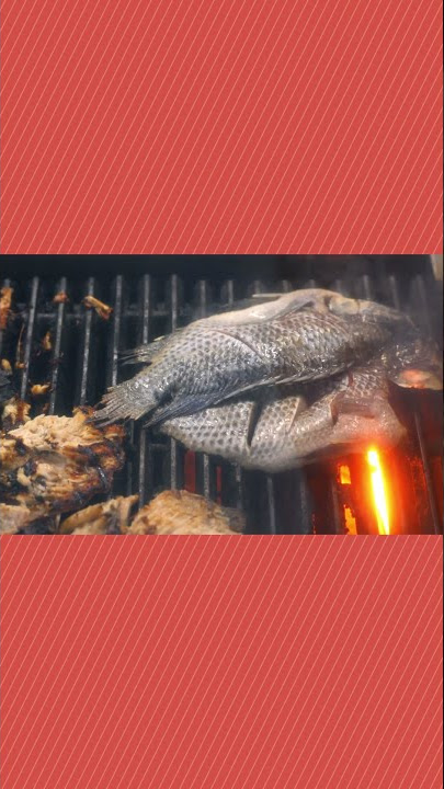 Grill Fish, Grill Food, Sea Food