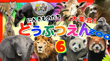 動物園へ行こう Mp3
