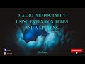 How to use extension tubes for macro photography