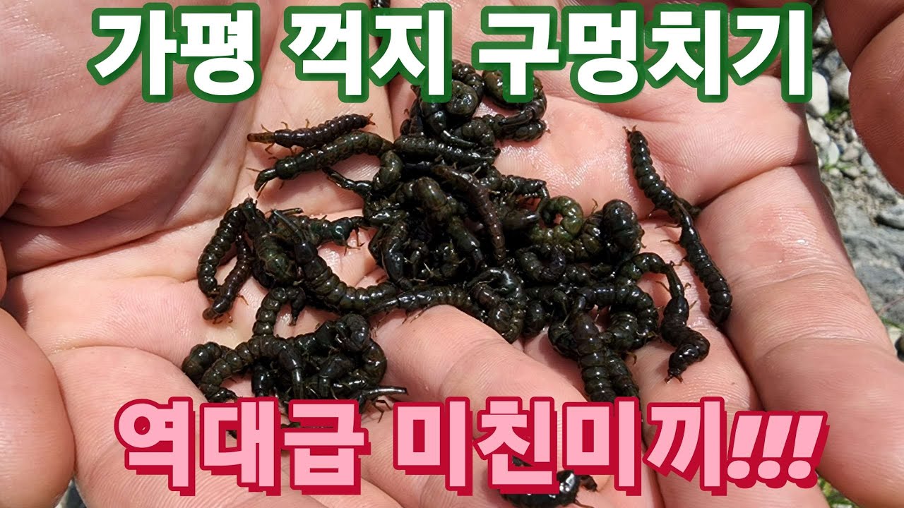 믿기 어려우시겠지만 이런 곳에서 잡힙니다!! 대물 꺽지 줄줄이 나옵니다/ 꺽지 구멍치기 남녀노소 어린이 누구나 가능!!!