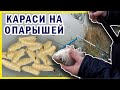 Рыбалка на канале ЮМС. Караси на опарыша. Краснодарский край