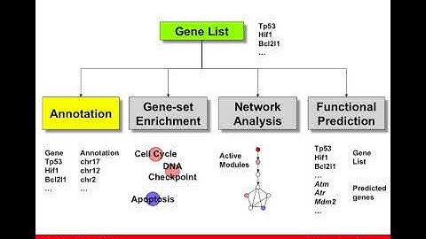 Introduction to Gene Lists