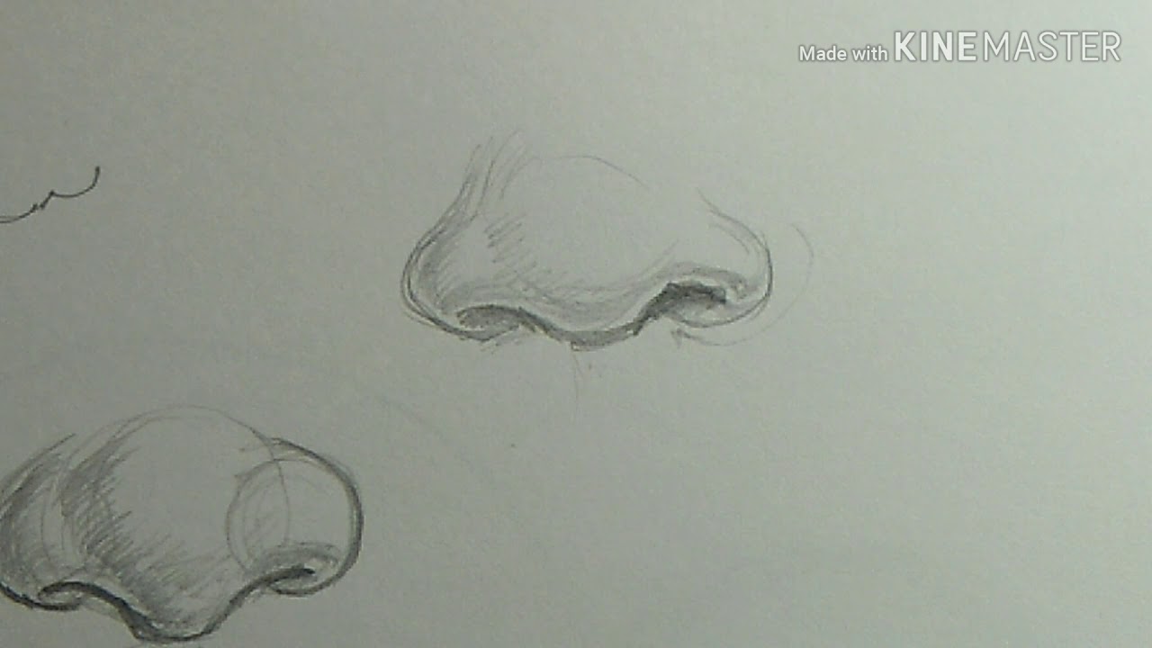 How To Drawing 👃 Nose วิธีวาดจมูกคนด้วยดินสอ - Youtube