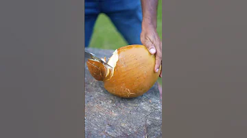 What S Inside This Coconut Nature S Drink 