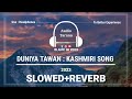 Duniya Tawan Kashmiri Songs | Slowed and Reverb | 2023 Mp3 Song