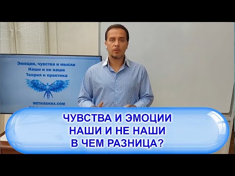 Чувства и эмоции. В чем разница?