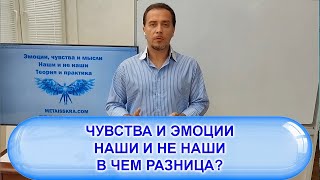 Чувства и эмоции. В чем разница?