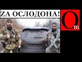 Как кадырОвцы постановочное видео для своего ослоДона на Киевщине снимали