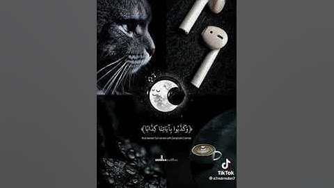 سورة النبأ بصوت القارئ عبد الرحمن مسعد