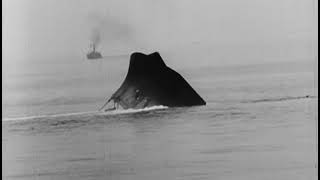 High Quality Newsreel Excerpts on World War I