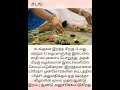 #சடங்குகள் #youtubeshorts #anmeegam #Avasiyamkarpom #shorts #pitradoshnivaran