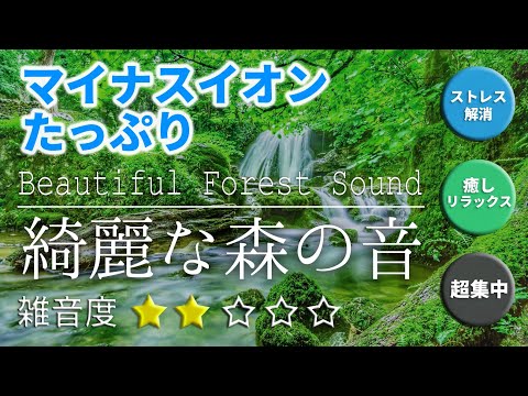 【ASMR/癒される森の音】川のせせらぎ,鳥のさえず/川の音,小鳥の鳴き声/睡眠 作業 瞑想 勉強 集中用BGM/Relaxing River Sounds & Birdsong