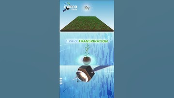Manna Irrigation