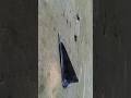 how to make a Paper Plane #diy #plane #craft