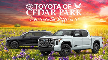 We Speak Your Language!