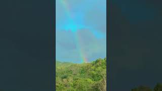 Montaña de juncos PR