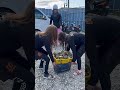人気な動画を集めました😆！
