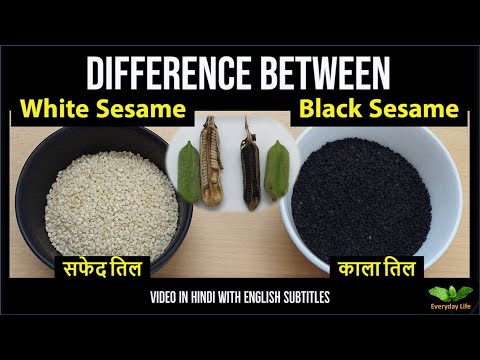 Sesame Seeds | Difference between White Sesame and Black Sesame | सफ़ेद तिल और